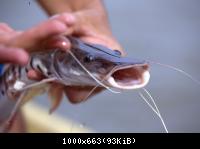 Angeln gestern-mein Steffen