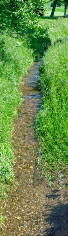 Tannbach der Grenzverlauf