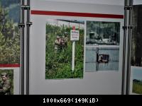 Schautafeln im Ausstellungsraum