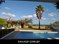 Ein Spät-Nachmittag mit Palmen am Eingangstor 2014