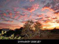 Sonnenuntergänge 2016