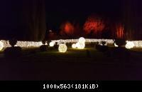 Botanischer Garten 2016