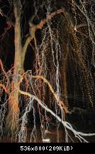 Botanischer Garten 2016