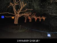 Botanischer Garten 2016