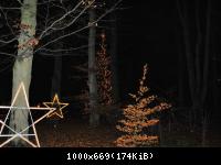 Botanischer Garten 2016