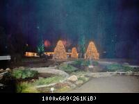 Botanischer Garten 2016