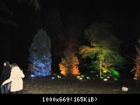 Botanischer Garten 2016