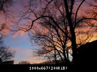 Im Norden vom Berlin