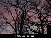 Im Norden von Berlin