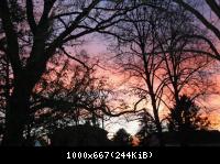 Im Norden von Berlin