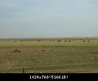 Bewaesserungsanlage, Panhandle Texas