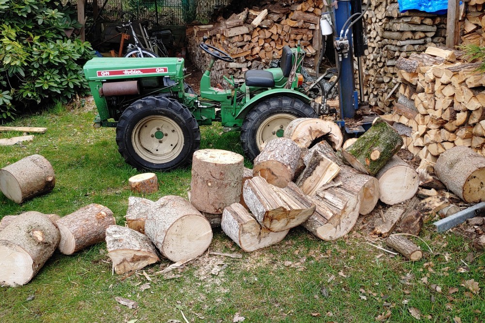 IMG 10062021 073527 (2100 x 1400 pixel)