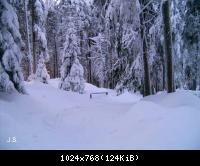 Winter 2010 im Harz