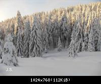 Wijnter 2010 im Harz