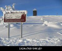 Winter 2010 im Harz