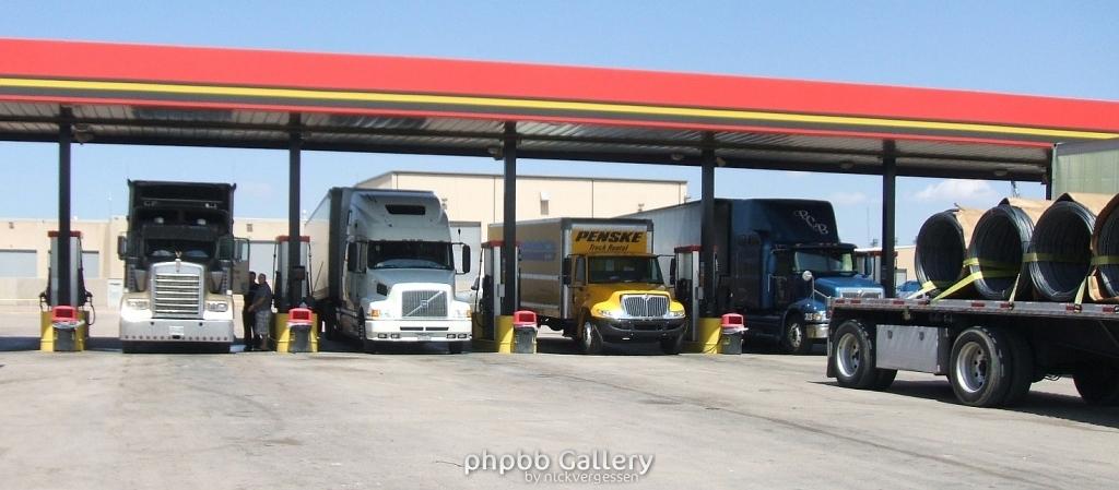 Der kleine unter den grossen