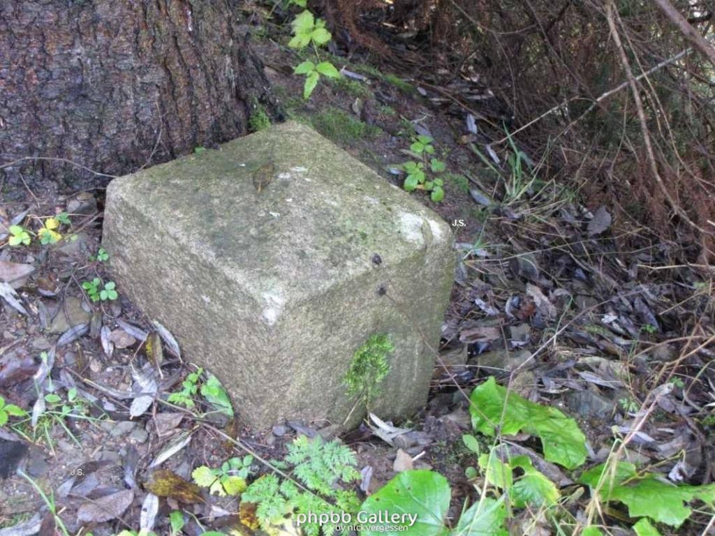 Grenze zwischen Sorge u.Braunlage Harz