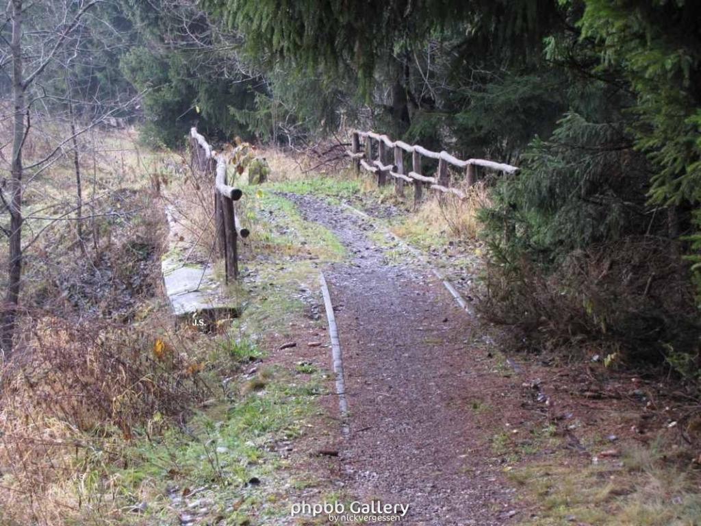 Grenze zwischen Sorge u.Braunlage Harz
