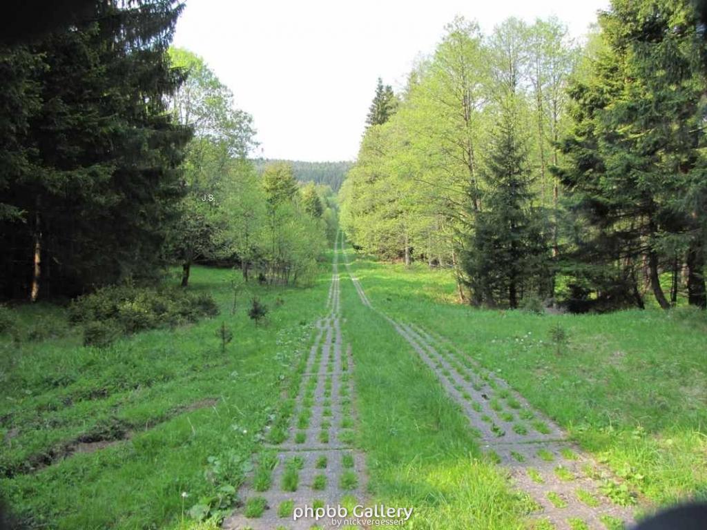 29.5.10 Ehm.inn.Dt Grenze im Harz (2)