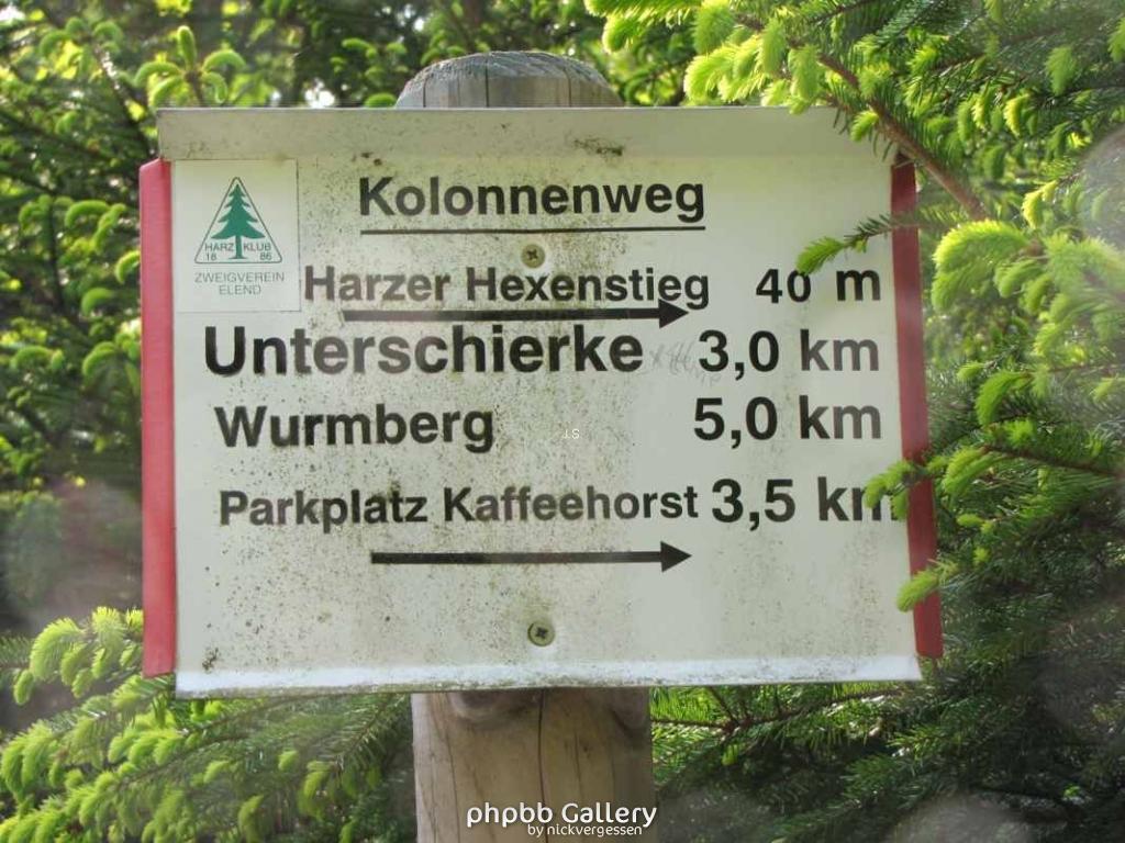 29.5.10 Ehm.inn.Dt Grenze im Harz (5)