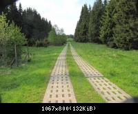 29.5.10 Ehm.inn.Dt Grenze im Harz (10)