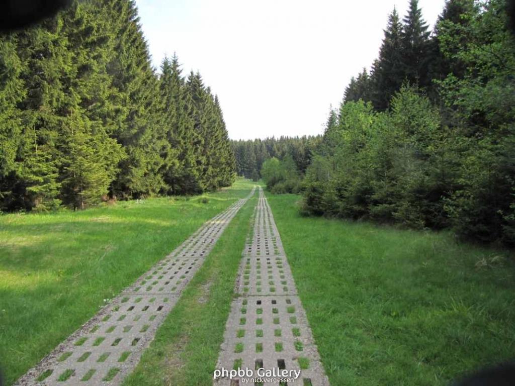 29.5.10 Ehm.inn.Dt Grenze im Harz (12)