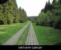 29.5.10 Ehm.inn.Dt Grenze im Harz (12)