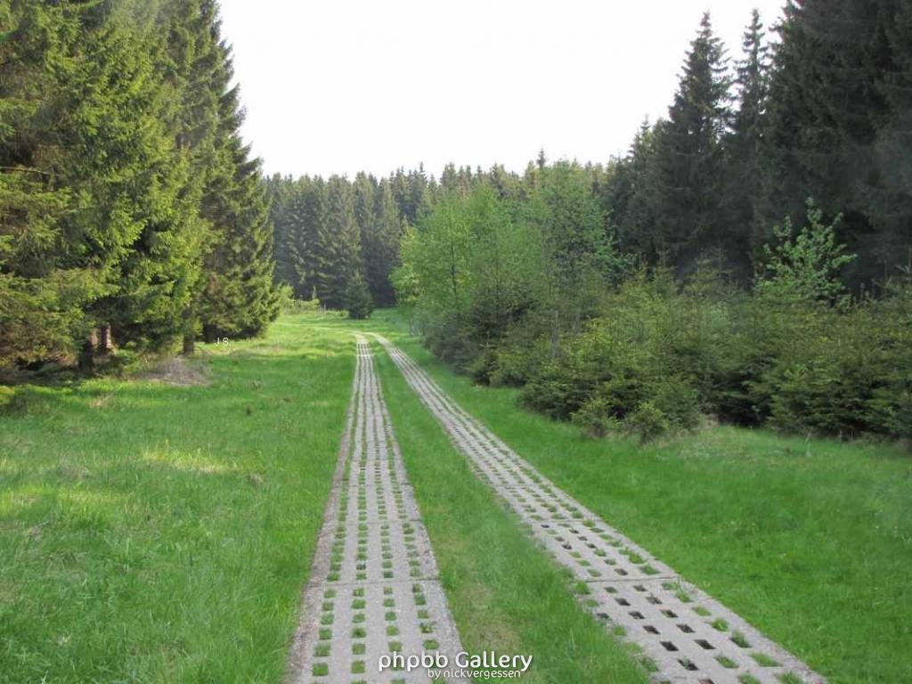 29.5.10 Ehm.inn.Dt Grenze im Harz (13)