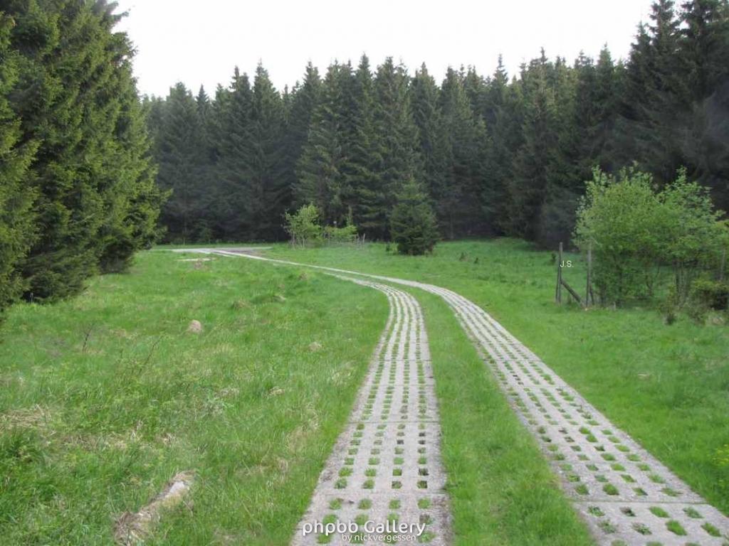 29.5.10 Ehm.inn.Dt Grenze im Harz (14)
