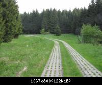 29.5.10 Ehm.inn.Dt Grenze im Harz (14)