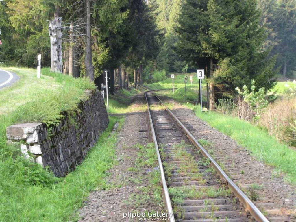 29.5.10 Ehm.inn.Dt Grenze im Harz (21)