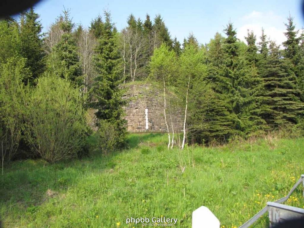 29.5.10 Ehm.inn.Dt Grenze im Harz (24)