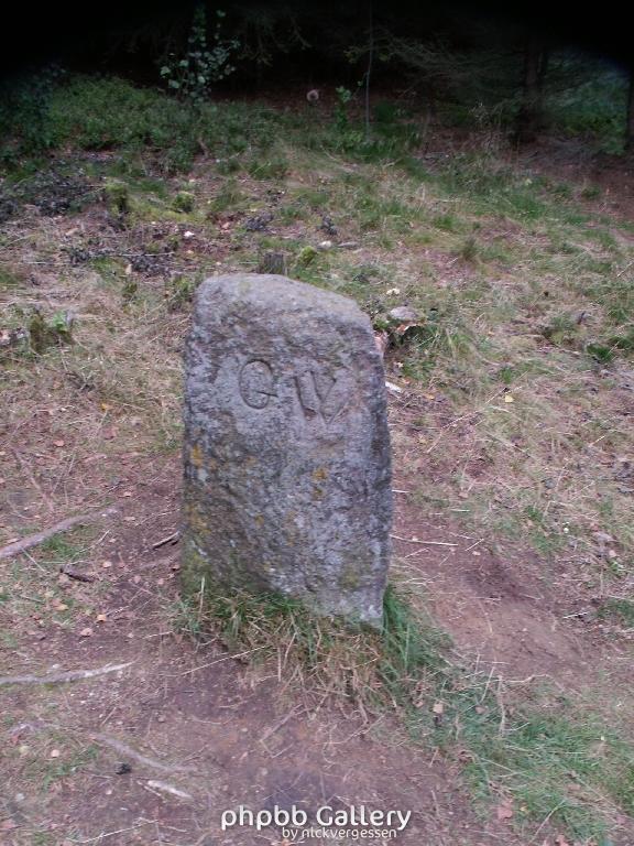 Bild117