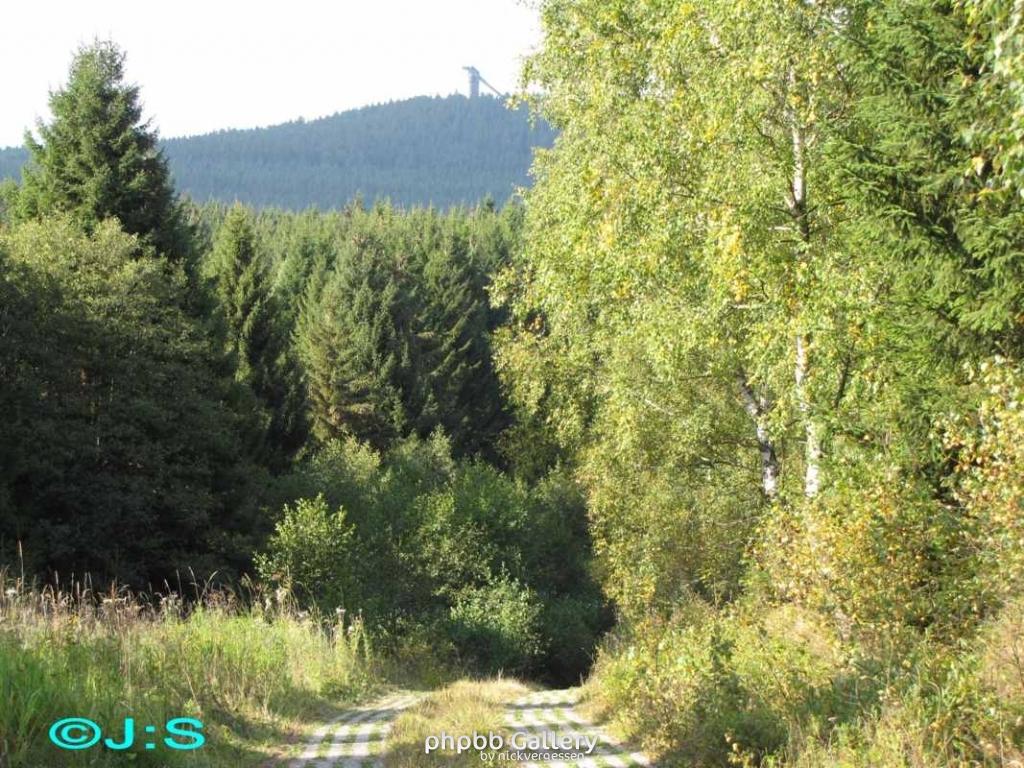 Kolonnenweg-Grenzspuren im Harz