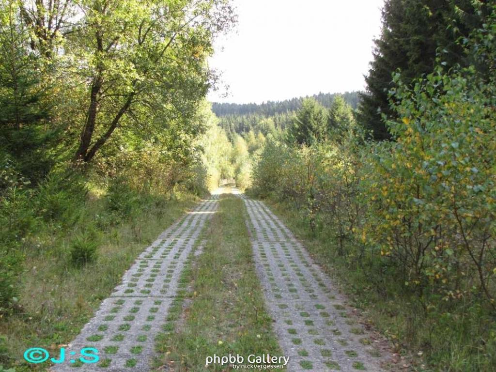 Kolonnenweg-Grenzspuren im Harz