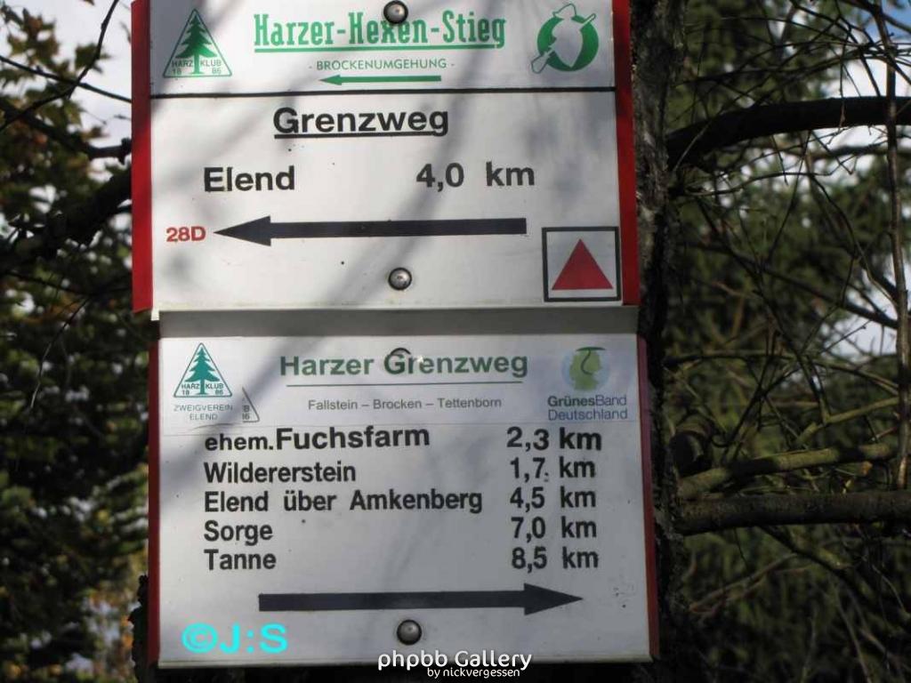 Kolonnenweg-Grenzspuren im Harz