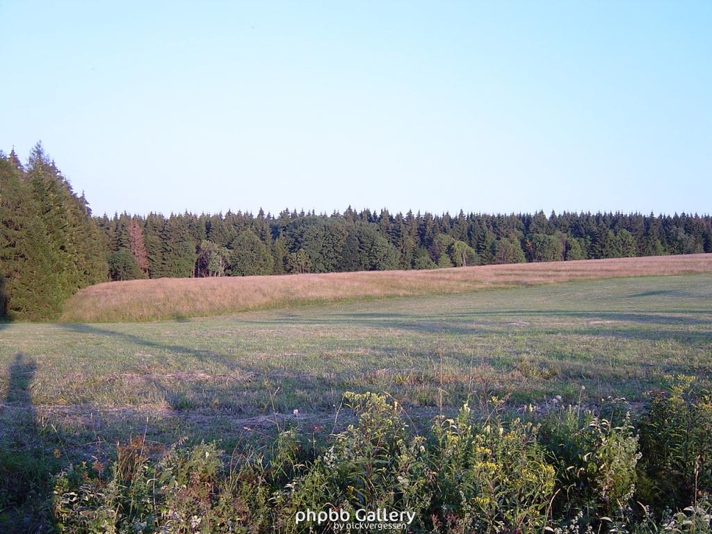 Grenze Hoheg./Benne.