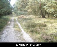 Palingen-Grenz-und Kolonnenweg 2009