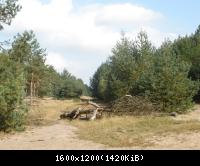 Palingen-Grenz-und Kolonnenweg 2009