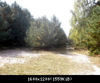 Palingen-Grenz-und Kolonnenweg 2009