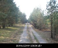 Palingen - ehemaliger Grenz-und Kolonnenweg 2009