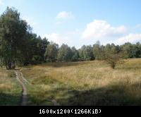 Palingen - ehemaliger Grenz-und Kolonnenweg 2009