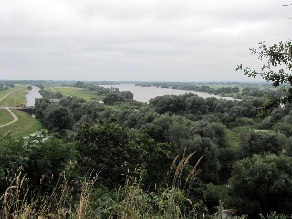 Blick ins Elbtal 1