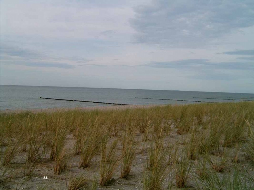 Zingst auf Fischland