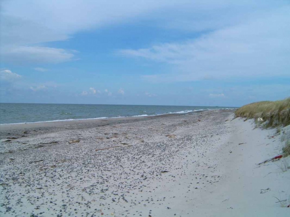 Zingst auf Fischland