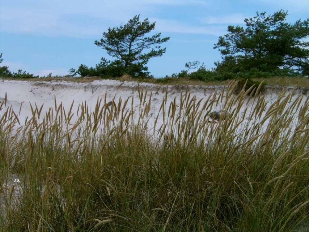 Zingst auf Fischland