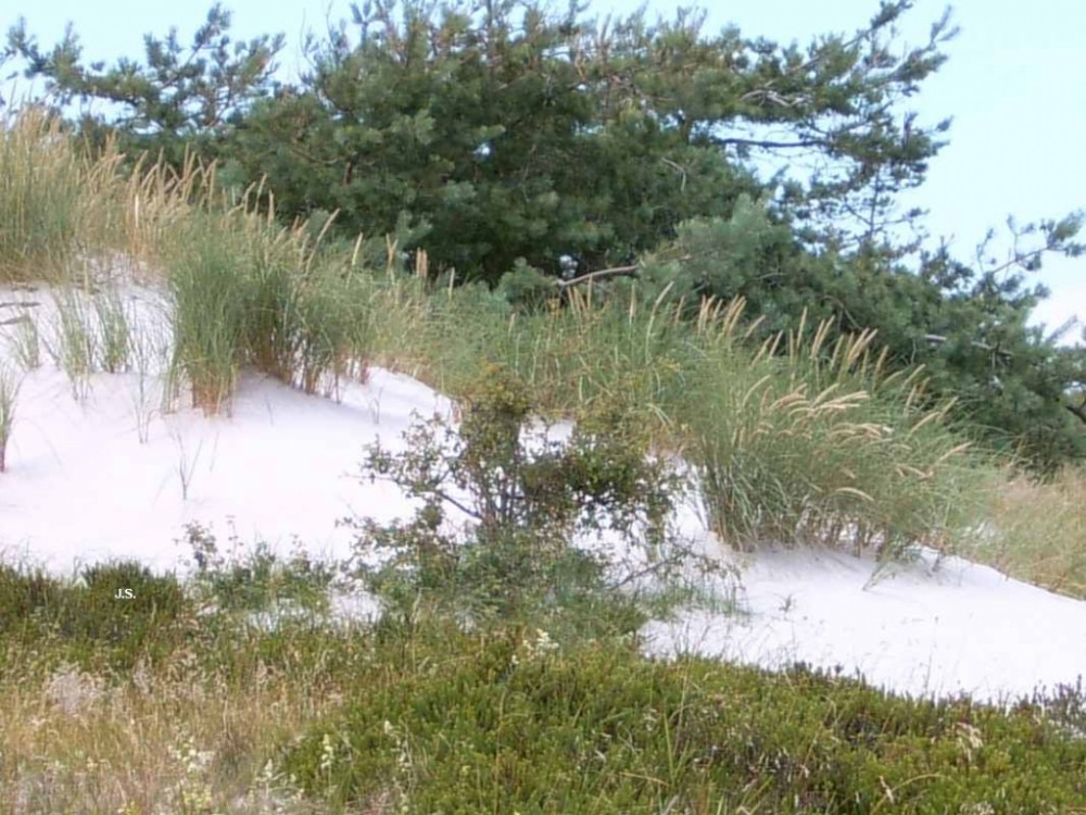 Zingst auf Fischland