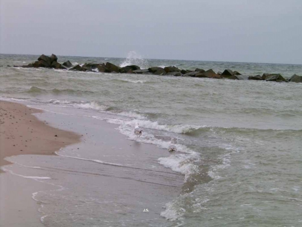 Zingst auf Fischland