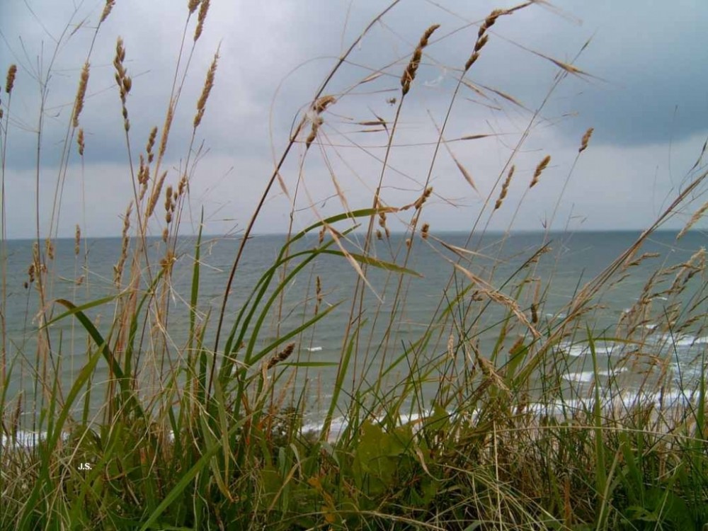 Zingst auf Fischland