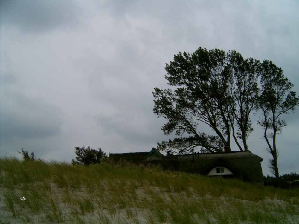 Zingst auf Fischland